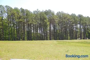 Fire Pit Cabin Retreat - Sleeps 6 - 1hr from STL - Image 2