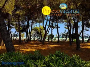 Caterina Vista Mare - Pineto Vacanza - Image 2