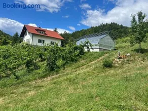 Weingut Kleinmonte - Image 4