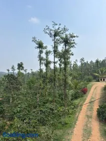 Alpha Camps - Image 4