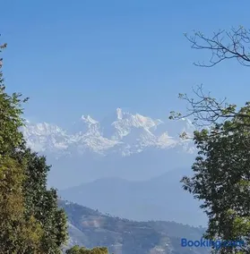 Rabi Village Homestay - Image 2