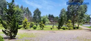Cânions de Cambará - Image 2
