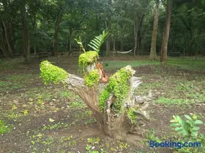 KTDC Periyar House - Image 4
