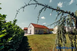 Studio apartmani Albero - Image 1