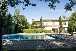 Finca El Molino - Image 5