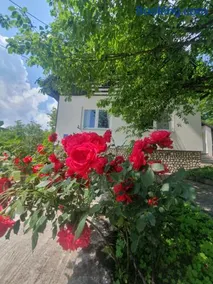 Guesthouse Nikola - Image 2
