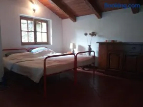 L'ontano sulle Alpi - Image 3
