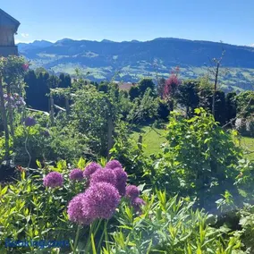 Panorama - Image 1