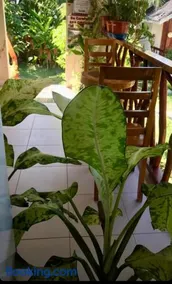 D's Oceanview Beach Resort - Image 4