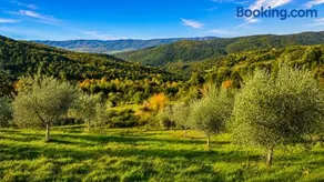 Fonte Fantina agriturismo & olio Evo in Maremma Toscana - Image 1