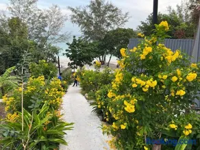 Dream Resort - Image 5