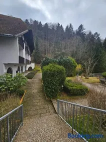 Triberg Falls Hideaway - Apartment 35 - Image 2