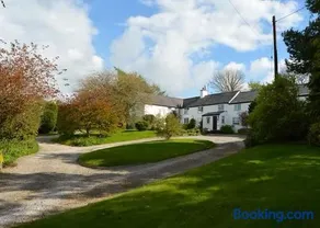 Pant y Rhedyn Glamping and camping site - Image 3