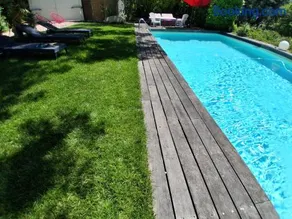 Le jardin de Sabine - Image 3