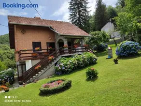 Apartman Jovanovic-Rudnik - Image 5