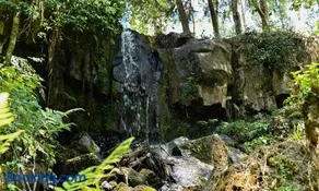 Kitanda Msituni - Image 5