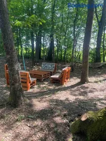 Dedin borak - Image 5