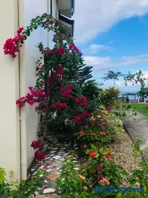 D's Oceanview Beach Resort - Image 5