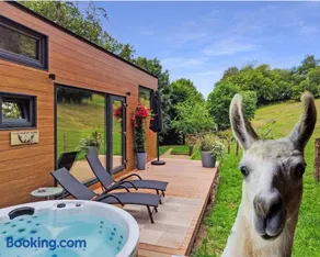 La mini maison du Lama - Image 1