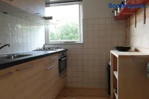 Zeealsem - Image 3