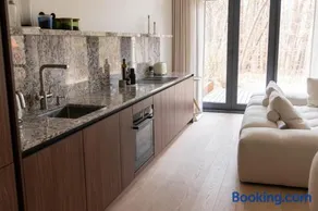 Golden dunes Auksinės kopos luxury apartment in Nida - Image 3