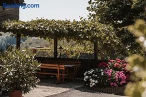 Weingut Assigal - Image 4