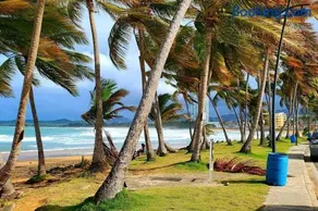 Ocean Breeze II- 3A- Brisa Mar - Image 5
