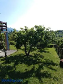Jana - Image 3