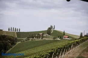 Tschermonegg "Wohnen beim Wein" - Image 2