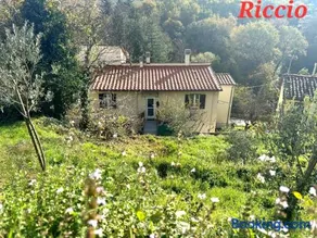 Riccio - Image 2