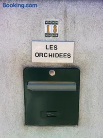 Les Orchidées - Image 5
