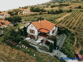 Badacsony Villa Ria - Image 4
