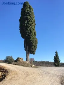 Casa Rossella, incantevole casa con piscina in Tenuta storica del Chianti - Image 5
