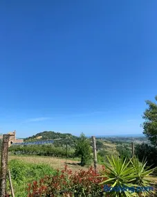 Tra borghi e mare Ripatransone - Image 1