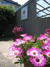 Oak Tree Lodge & Holiday Parking - Image 2