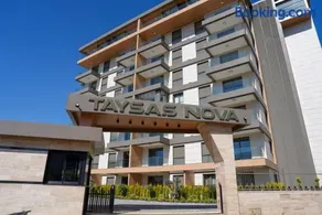 Halil Aslan Taysas Nova - Image 1