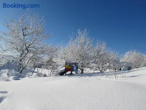 Appartamento accogliente e familiare con griglia, terrazza e giardino | Vista sul giardino | Accetta animali domestici - Image 3