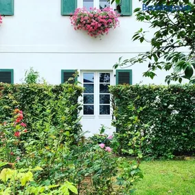Isabelle's Rosegarden - Image 2