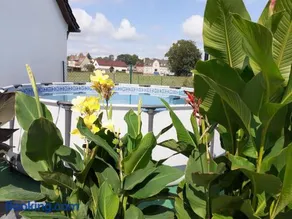 Ferienwohnungen Kusche - Image 3