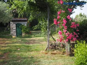 Cottage Casa Vinela - Image 2