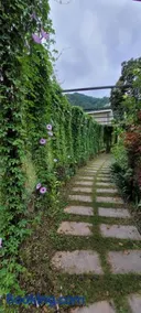 Aristaa Morni Hills: Pristine Stay in the Wild - Image 3