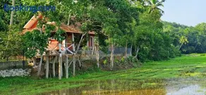 Nellu - Tranquil Pool Villa & Organic Farmstay near Varkala - Image 3