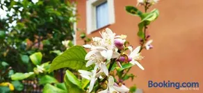 Villa Bonaffini - Image 4