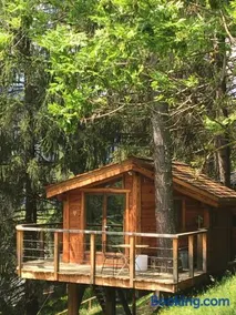 Entre les Arbres - Image 2