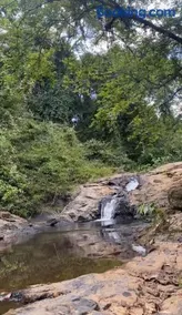 Venda da Minerva - Image 5
