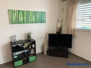 C&C Eco Studio - Image 2