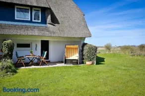 Braderuper Heide - Image 2