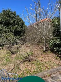 Casa Jardim 21 - Image 2