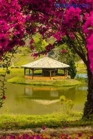 Hotel Fazenda Jecava - Image 3