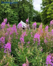 Mereääre Glamping Ja Rannamaja - Image 5